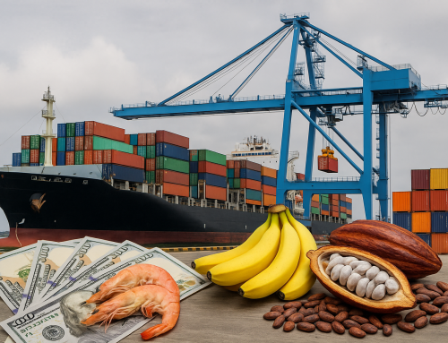 Exportaciones ecuatorianas crecen casi 11% en el primer semestre de 2025, impulsadas por camarón, banano y cacao